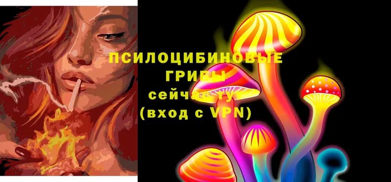 блэк спрут сайт  Советский  Галлюциногенные грибы Cubensis 